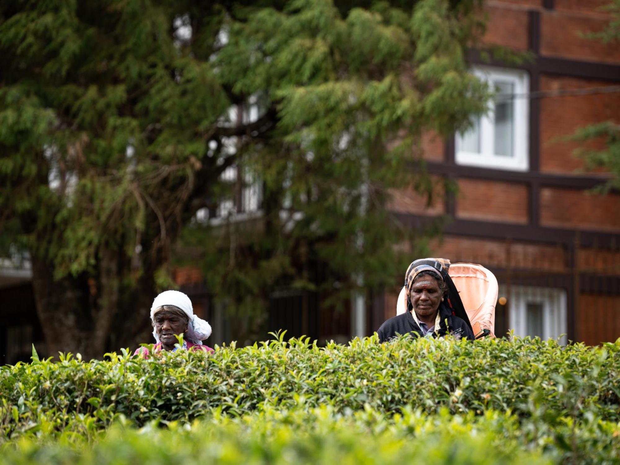 Winchester Little England Nuwara Eliya Exterior photo